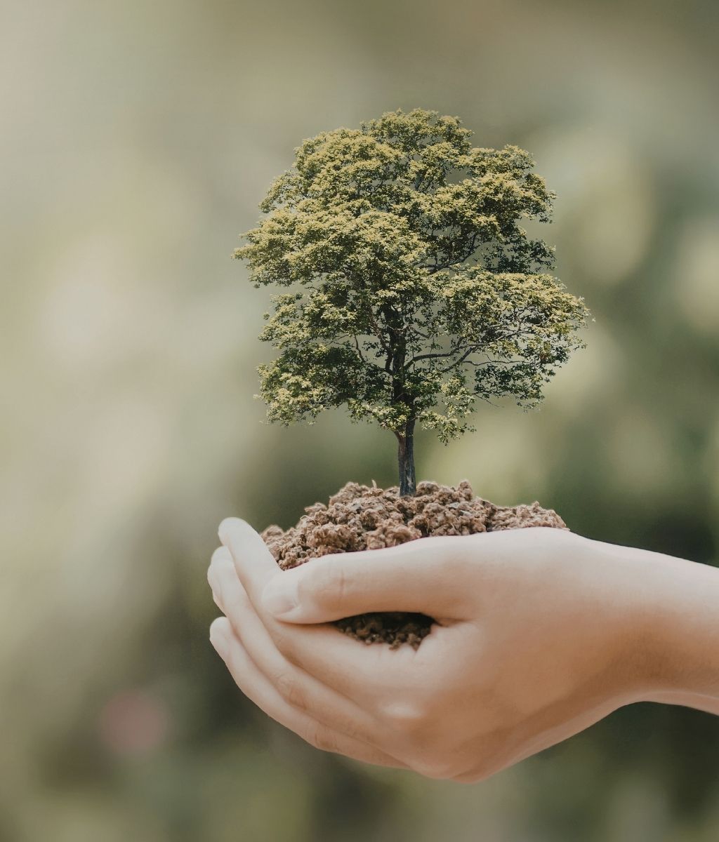 About Stone Oak Behavioral Health